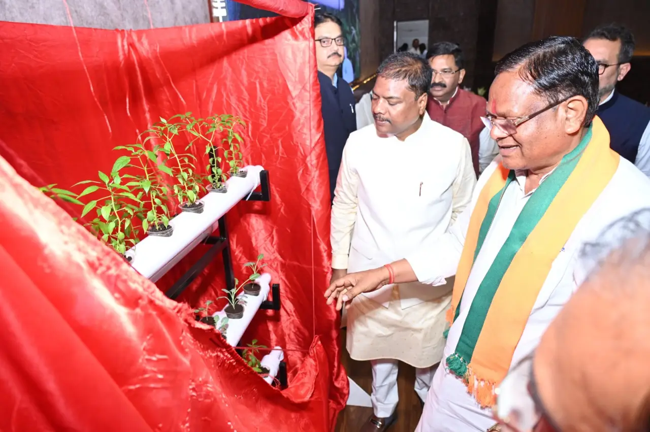 हाइड्रोपोनिक्स तकनीक खेती का नया और स्मार्ट विकल्प, कम पानी कम जगह और अधिक उत्पादन की आधुनिक खेती...