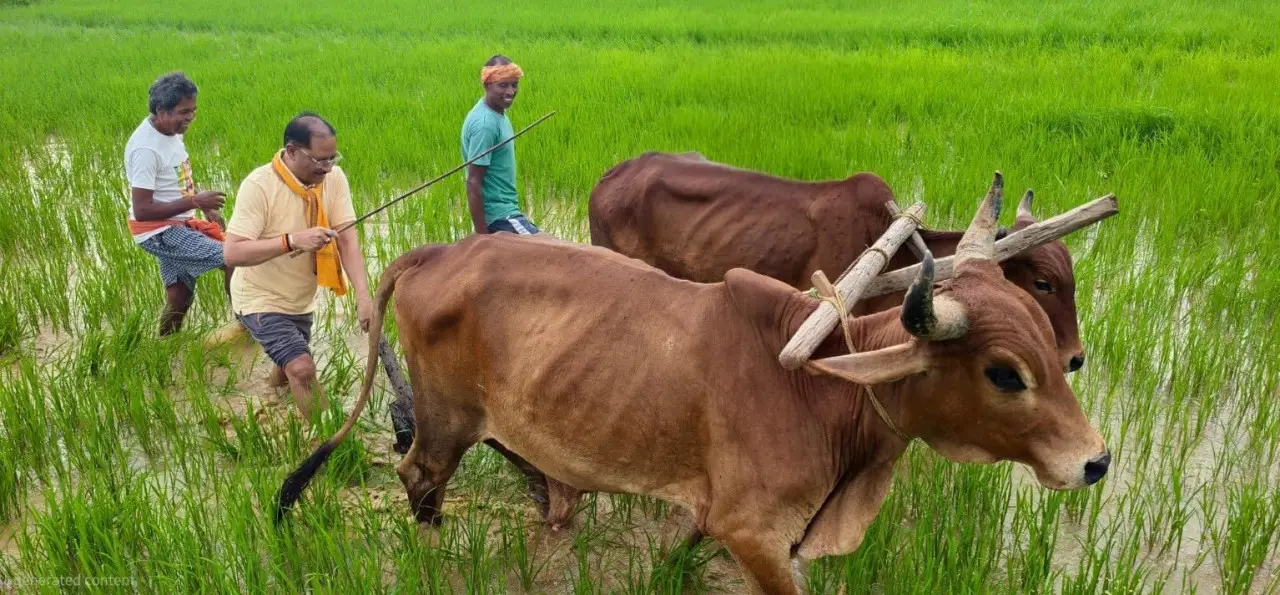 रायपुर : अपनी माटी और खेती-किसानी से मुख्यमंत्री श्री विष्णु देव साय का आत्मीय जुड़ाव