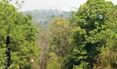 सातधार की पहाडिय़ों में आग, ग्रामीणों की बैठक लेकर वनों में आग न लगाने की समझाइश- अफसर