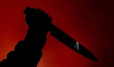 जर्मनी : मैनहेम शहर में चाकू से हमला कर व्यक्ति ने कई लोगों को घायल किया