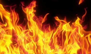 दक्षिण कोरिया में फैक्टरी में आग लगने से 22 लोगों की मौत, मृतकों में ज्यादातर चीनी श्रमिक