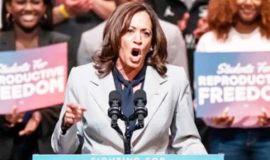 इजराइल को आत्मरक्षा का अधिकार है लेकिन इसे किया कैसे जाता है, यह मायने रखता है: हैरिस