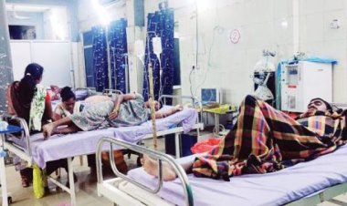 3 माह से टाइफाइड की जांच बंद