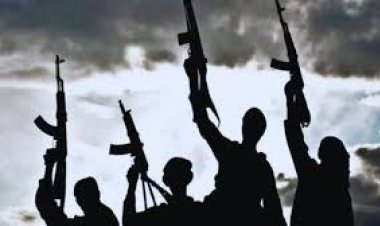 नाइजीरिया में बंदूकधारियों ने 20 छात्रों का अपहरण किया