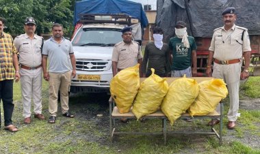 बिजुरी पुलिस ने अवैध अंग्रेजी शराब ले जाते दबोचा:132 लीटर अवैध अंग्रेजी शराब जब्त, दो आरोपी गिरफ्तार