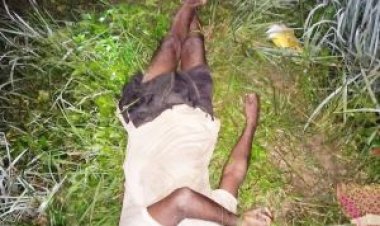 गाज से किसान की मौत