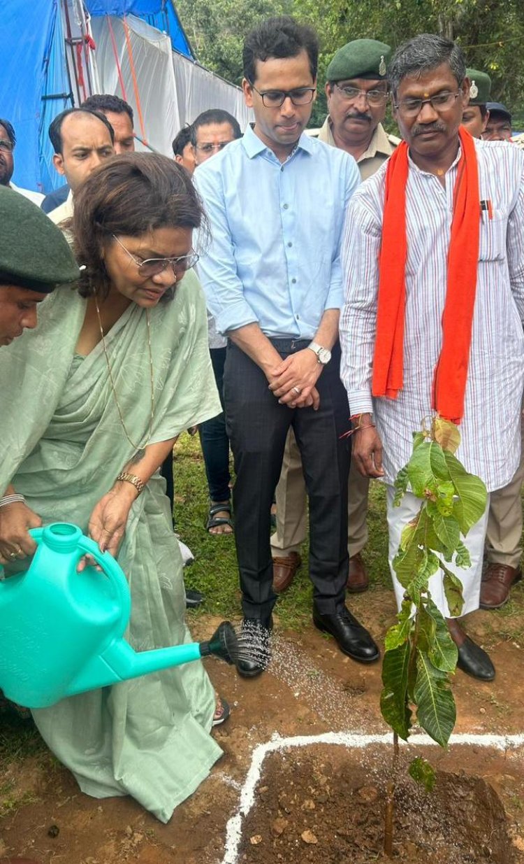 मुख्यमंत्री विष्णु देव साय के मार्गदर्शन में राज्य में पहली बार वृहद स्तर पर शुरू हुआ महुआ पेड़ों का संरक्षण : महुआ बचाओ अभियान अंतर्गत लगाए गए 30,000 पौधे