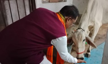 चंद्रग्रहण से पहले मुख्यमंत्री साय ने गौमाता को रोटी और गुड़ खिलाकर प्रदेशवासियों के कल्याण हेतु की प्रार्थना