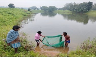 किशोरी अमृत सरोवर बना खुशहाली का स्रोत : 20 साल पुराने तालाब का कायाकल्प, सिंचाई और मछलीपालन से बदल रही है ग्रामीणों की जिंदगी