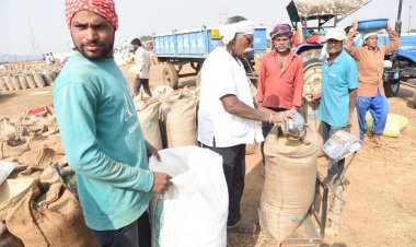 राज्य के सभी जिलों में समर्थन मूल्य पर धान खरीदी का सिलसिला जारी,अब तक 7 लाख 28 हजार 4 क्विंटल धान की हुई खरीदी,,,
