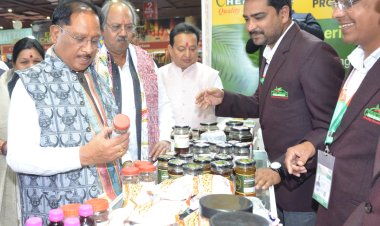 अंतरराष्ट्रीय व्यापार मेले में मुख्यमंत्री विष्णुदेव साय ने छत्तीसगढ़ पेवेलियन का किया अवलोकन,,