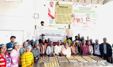 रायपुर : जशपुर के युवाओं को निफ्टेम विशेषज्ञों ने दिया प्रशिक्षण