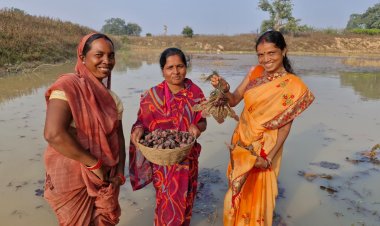 रायपुर : महिला स्व-सहायता समूह की मेहनत रंग लाई, मछली पालन और सिंघाड़ा खेती से बढ़ी आमदनी