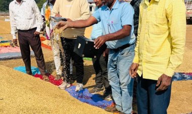 सख्त मॉनिटरिंग का असर—धमतरी में धान खरीदी तेज रफ्तार पर,  किसानों को मिल रहा त्वरित भुगतान,,,