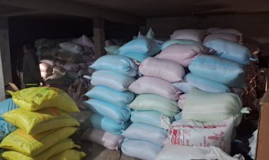 ग्राम पंडरीपानी में अवैध धान भंडारण पर बड़ी कार्यवाही,  एसडीएम फरसाबहार की कार्रवाई में 870 बोरे अवैध धान जप्त,,,