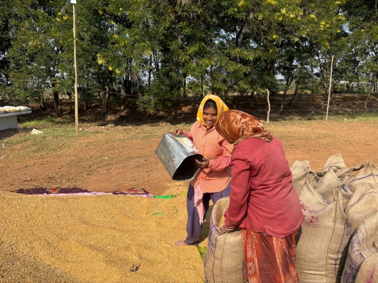 रायपुर : खरीफ उपार्जन शुरू होते ही धमतरी में लौटी रौनक,ईश्वरी–विद्या जैसी महिलाएँ बनीं आत्मनिर्भरता की मिसाल,,,