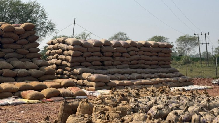 रायपुर : 17 व्यापारियों से 13 लाख रूपए का 622 क्विंटल पुराना धान जब्त