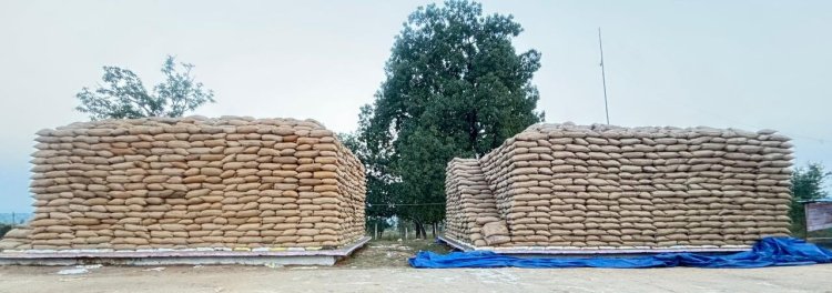 एमसीबी : विशेष लेख : किसान सम्मान का स्वर्णिम दौर - जिले में अब तक 41 हजार क्विंटल से अधिक की धान खरीदी पूरी