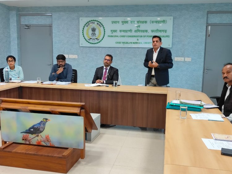 रायपुर : छत्तीसगढ़ में वन भैंसा संरक्षण एवं स्थानांतरण पर उच्च स्तरीय बैठक