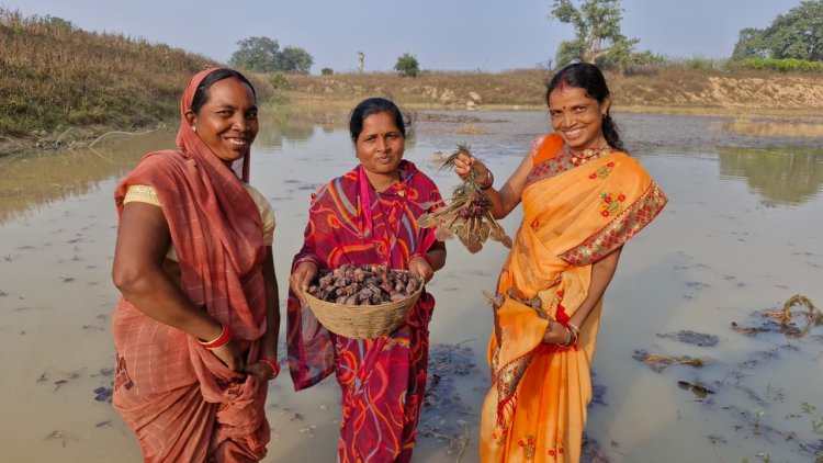 रायपुर : महिला स्व-सहायता समूह की मेहनत रंग लाई, मछली पालन और सिंघाड़ा खेती से बढ़ी आमदनी