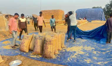 रायपुर : मनेन्द्रगढ़-चिरमिरी-भरतपुर जिले में धान की आवक में तेजी,आज 14969.20 क्विंटल हुई धान खरीदी,,,