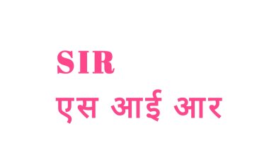 रायपुर : विशेष गहन पुनरीक्षण अभियान (SIR) में लगभग 99.98 प्रतिशत गणना प्रपत्रों का डिजिटाइजेशन पूर्ण,   
