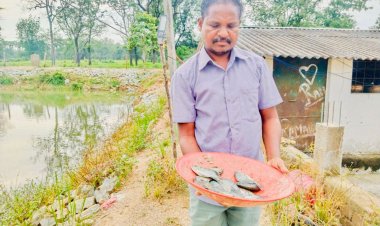 डबरी बनी खुशहाली की राह : किसान हिरमाराम की आमदनी हुई दोगुनी, सालाना बढ़ी एक लाख रुपये तक  