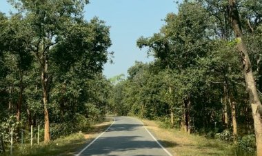 पीएम जनमन योजना से बदली कमार बस्ती की तस्वीर