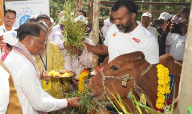 बस्तर संभाग में महिलाएं डेयरी व्यवसाय से बन रही हैं आत्मनिर्भर 