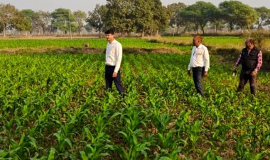 पचास साल बाद बदली खेती की तस्वीर