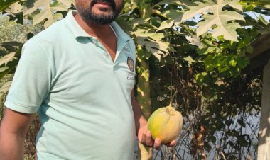 निजी डबरी से बदली त्रिपतीनाथ केवट की तक़दीर, मनरेगा ने दी स्थायी आजीविका की नई राह