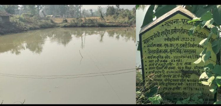 डबरी निर्माण से बदली किसान कुंवर सिंह की किस्मत