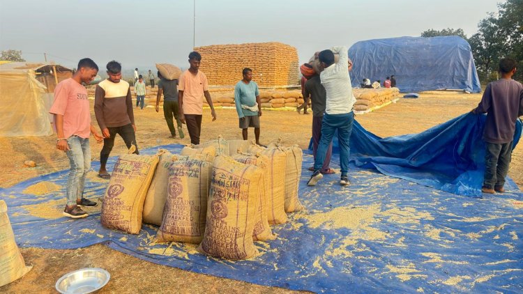 रायपुर : मनेन्द्रगढ़-चिरमिरी-भरतपुर जिले में धान की आवक में तेजी,आज 14969.20 क्विंटल हुई धान खरीदी,,,