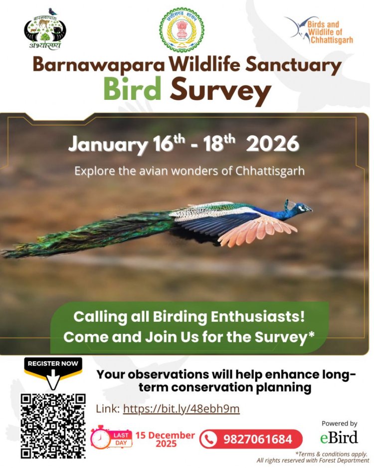 बारनवापारा वन्यजीव अभयारण्य में आयोजित होगा 'सिटिज़न साइंस बर्ड सर्वे 2026'  