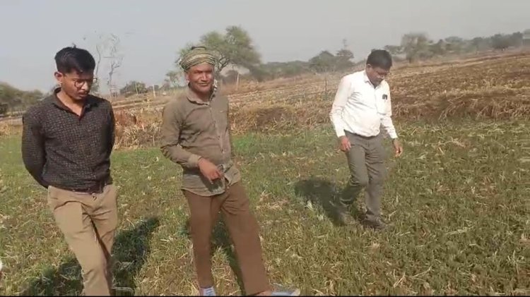 धान से हटकर समृद्धि की राह: जेवरा के किसान दिलीप सिन्हा ने दलहन-तिलहन से कमाए 25 लाख रुपये  