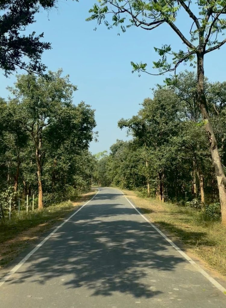 पीएम जनमन योजना से बदली कमार बस्ती की तस्वीर