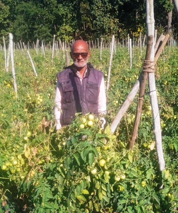 तकनीक सहयोग और मेहनत से बदली खेती की तस्वीर