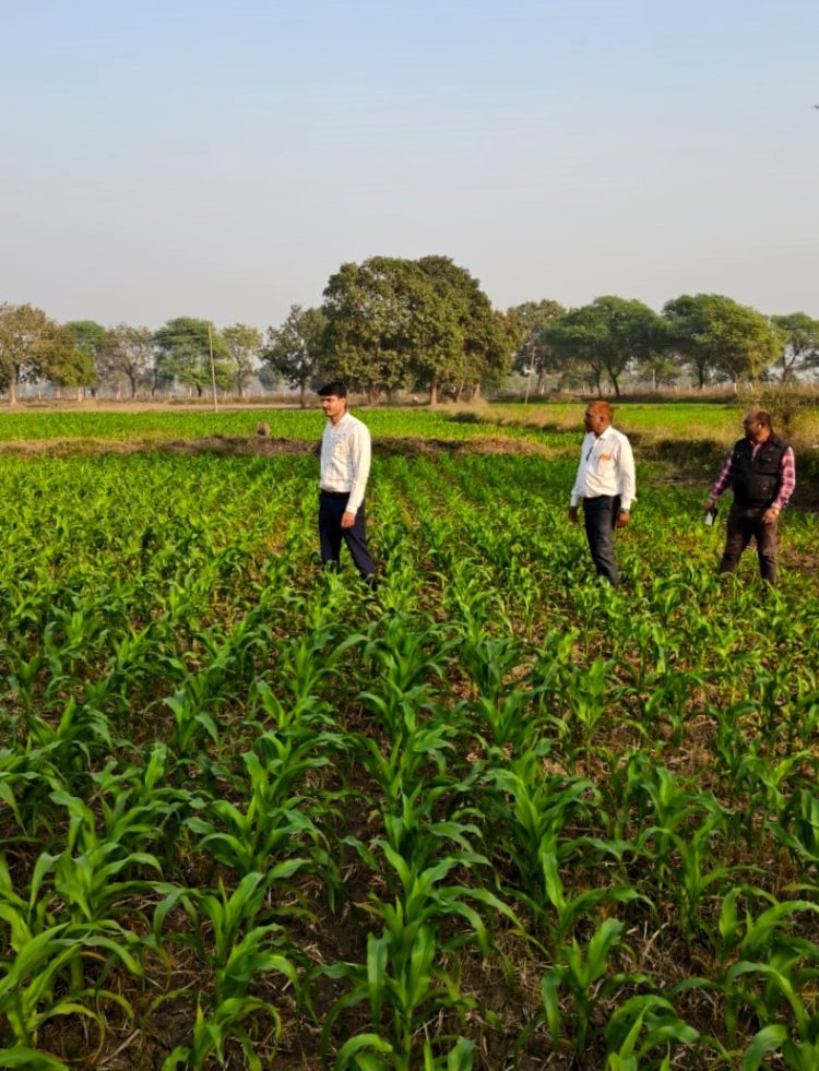 पचास साल बाद बदली खेती की तस्वीर