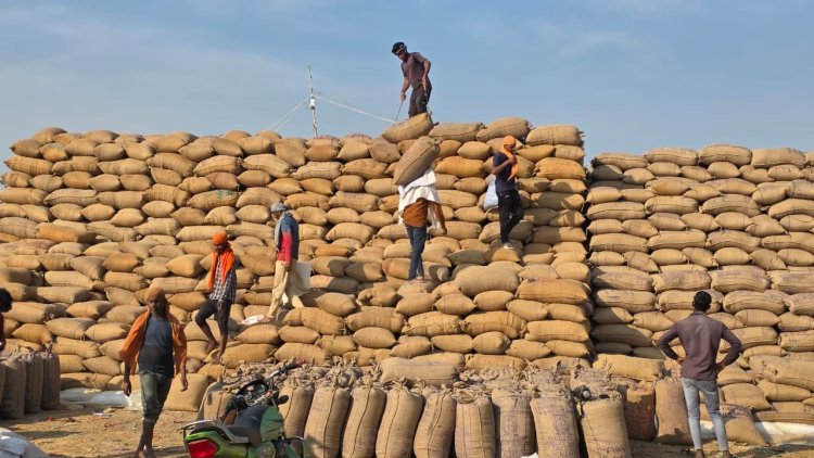 सरगुजा जिले में धान उपार्जन की तेज प्रगति, पारदर्शी व्यवस्था से किसानों को मिल रहा लाभ  