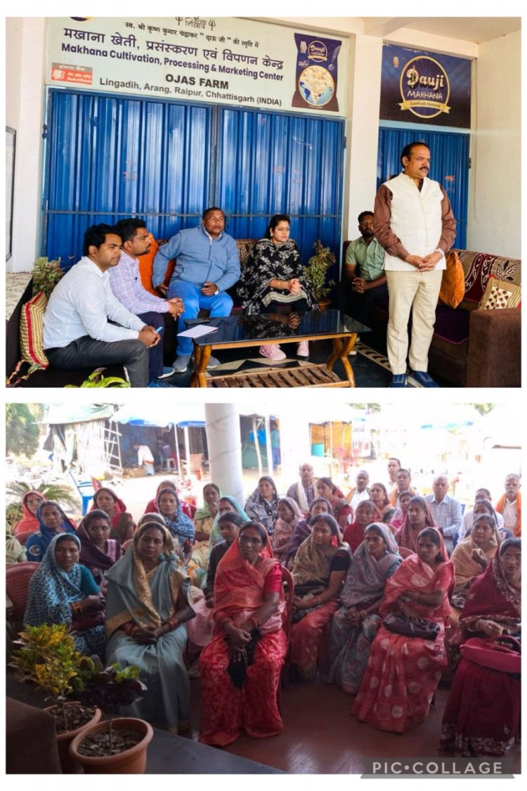 : धान से आगे सोच : मखाना खेती से बदलेगी धमतरी की ग्रामीण महिलाओं की आर्थिक तस्वीर  