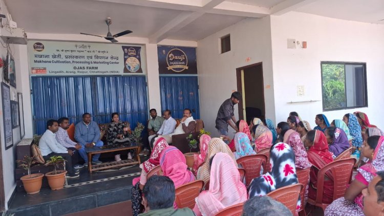 मखाना खेती से बदलेगी धमतरी की ग्रामीण महिलाओं की आर्थिक तस्वीर