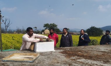 राष्ट्रीय बागवानी मिशन एवं राज्य योजना अंतर्गत मधुमक्खी पालन से लाभान्वित हो रहे किसान