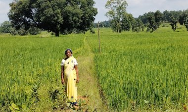 वनांचल के मेहनतकश वनवासी चेहरों पर आई आर्थिक लाभ की मुस्कान  