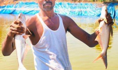 मछली पालन से बदली कृषक हड़मा कोड़ोपी की जिंदगी : प्रधानमंत्री धन धान्य योजना बनी नई उम्मीद