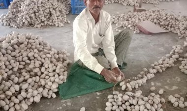 तसर पालन ने बदल दी जिंदगी - ग्राम सलोरा के किसान श्री भरत राम केवट बने आत्मनिर्भर