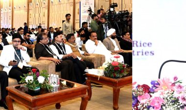 चावल निर्यातकों को दी बड़ी सौगात, मंडी शुल्क में छूट की अवधि एक साल बढ़ाई गई