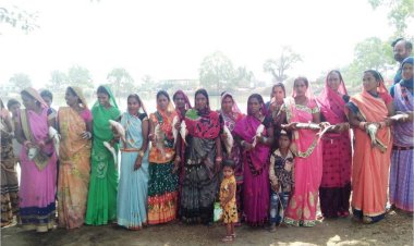 मुंगेली : जरहागॉव की महिलाओं ने मत्स्य पालन से बदली अपनी तक़दीर : मत्स्य पालन कर कमाए लगभग 03 लाख रुपये