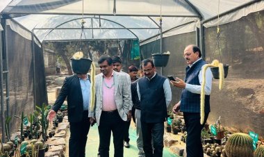 गोंडवाना मरीन फॉसिल्स पार्क के संरक्षण का प्रस्ताव भेजवाने के निर्देश