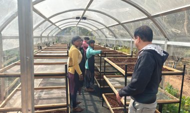 DST प्रायोजित परियोजना से जशपुर में महुआ व वनौषधियों के प्रसंस्करण को मिला वैज्ञानिक आधार