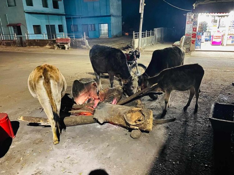 कड़ाके की ठंड में बेजुबान जानवरों को ठंड से राहत दिलाने के लिए पार्षद राहुल भाई पटेल व समाजसेवी सदाशिव बारीक गोदरीपारा के सामुदायिक भवन के पास हर दिन जला रहे है अलाव,,,